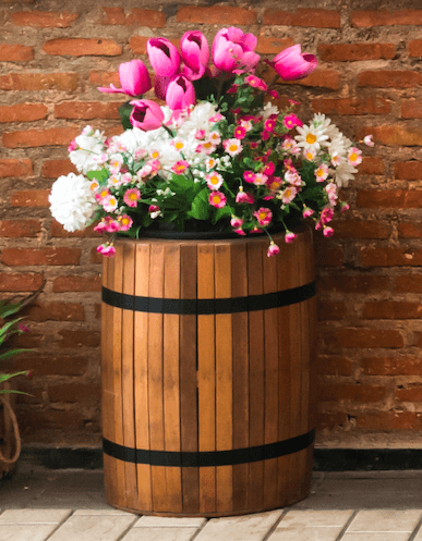 wooden barrel used as planter 