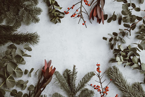 Fresh garland and holly for holiday décor