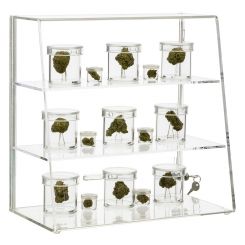 Locking Two Shelf Slanted Cannabis Display Case