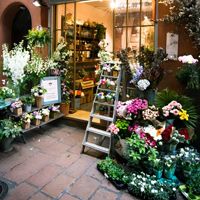 Shop Florist Shop Displays, Fixtures & More Now