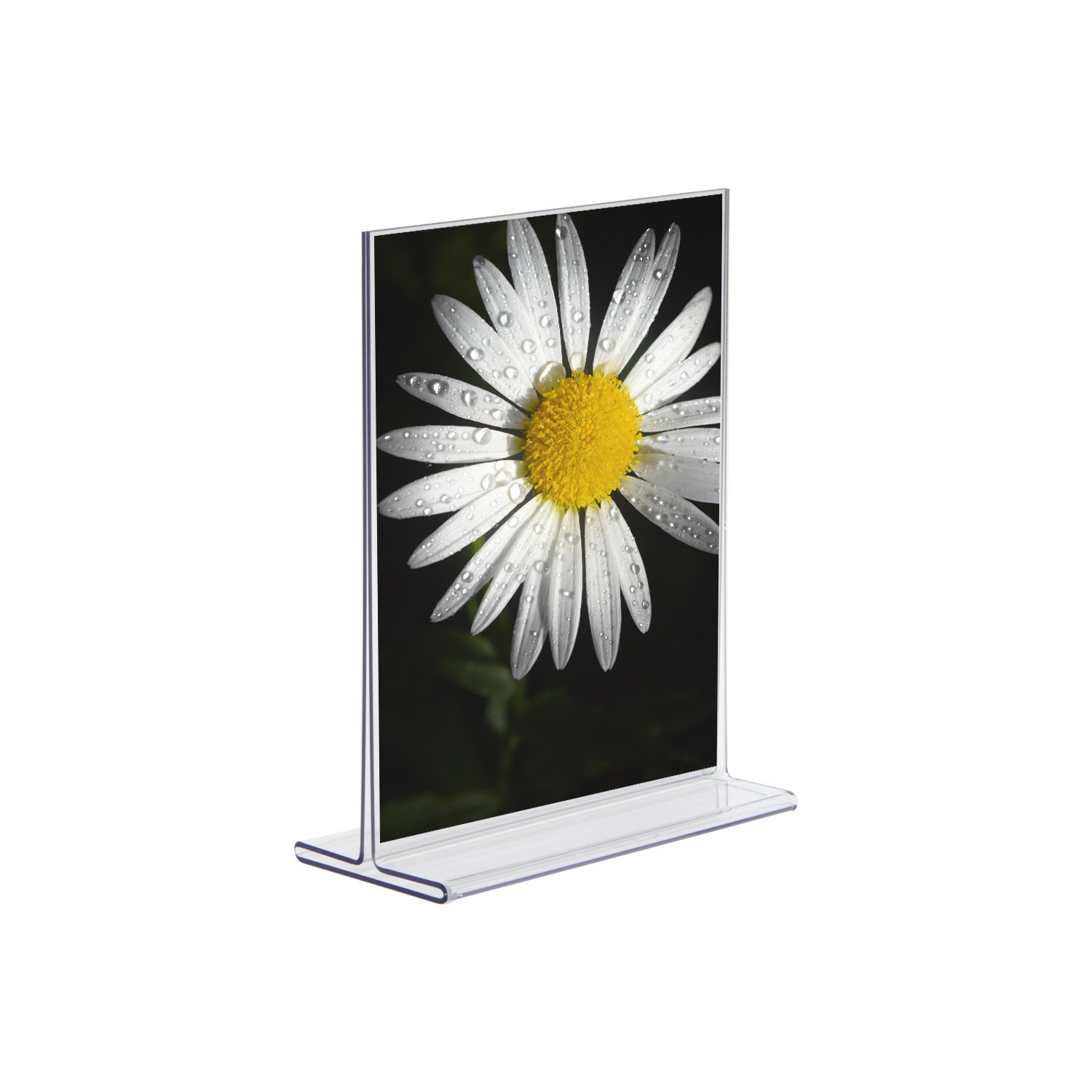 5.5x8.5 Top Loading Economy Plastic Sign Holder - Buy Acrylic Displays ...